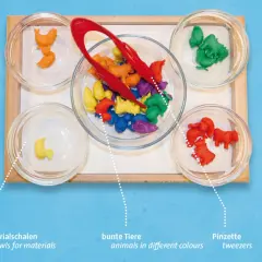 Bunte Tierfiguren in Schalen, bereit für spannende Aktionstabletts im Kindergarten. Mit Pinzetten sortieren und lernen.