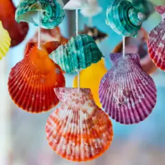 Bunte, bemalte Muscheln hängen an Schnüren und bilden eine fröhliche Dekoration.