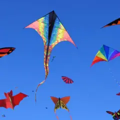 Bunte Drachen in Form von Schmetterlingen, Fledermäusen und geometrischen Mustern steigen im blauen Himmel auf. Ein Fest des Drachenbastelns!