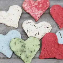 Bunte Herzen aus Samenpapier, die man leicht selber machen kann. Jedes Herz ist ein Unikat mit kleinen Samen und Blüten.
