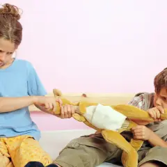 Zwei Kinder streiten sich um ein Stofftier. Ein Mädchen zieht am Bein, ein Junge am Körper. Typische Probleme im Kindergarten mit Erzieherin.