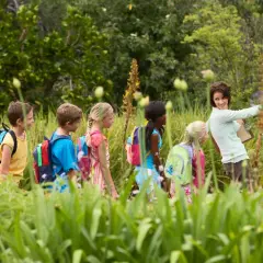 Lehrerin zeigt Kindern auf einem Wandertag in der Natur spannende Dinge. Tolle Wandertag Schule Ideen!