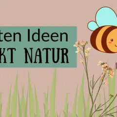 5 besten Ideen für Projektwoche Kindergarten Themen: Natur, Biene und Blumen.