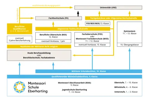 Bildungswege nach der Montessori Schule Eberharting: von der Mittelschule bis zur Universität.