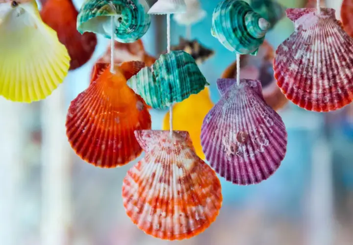 Bunte, bemalte Muscheln hängen an Schnüren und bilden eine fröhliche Dekoration.