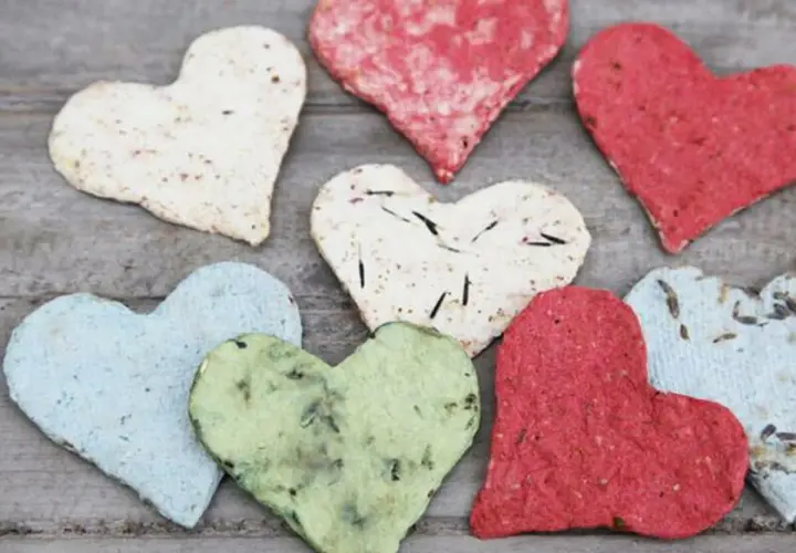 Bunte Herzen aus Samenpapier, die man leicht selber machen kann. Jedes Herz ist ein Unikat mit kleinen Samen und Blüten.