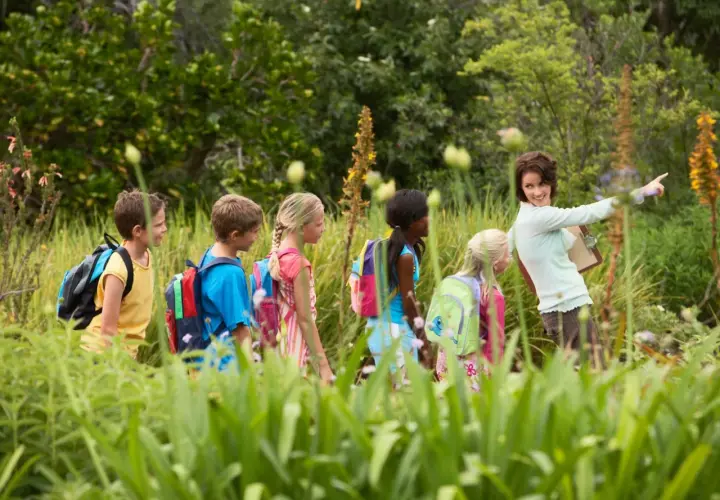 Lehrerin zeigt Kindern auf einem Wandertag in der Natur spannende Dinge. Tolle Wandertag Schule Ideen!