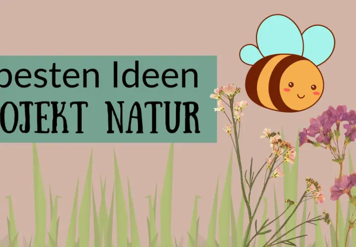5 besten Ideen für Projektwoche Kindergarten Themen: Natur, Biene und Blumen.