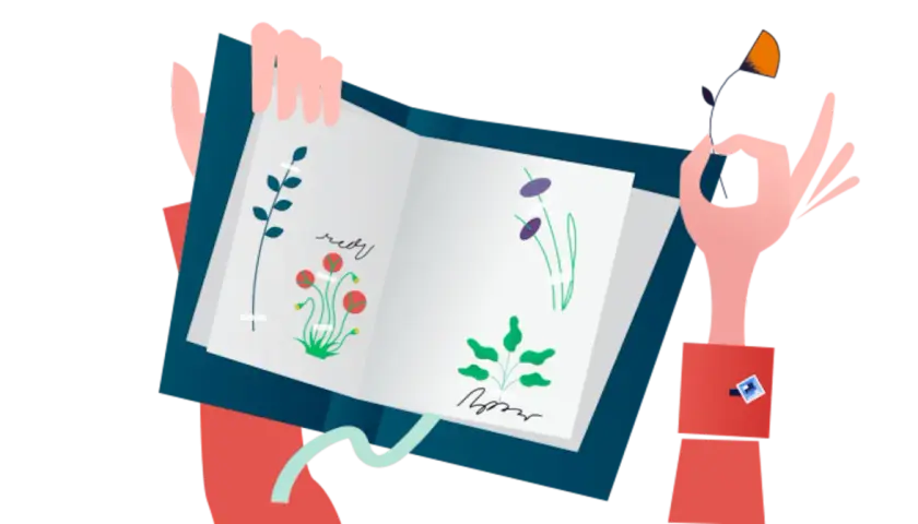 Deckblatt Herbarium Klasse 6: Hände halten ein offenes Buch mit gezeichneten Pflanzen. Eine Hand hält eine Blume, die andere zeigt auf das Herbarium.
