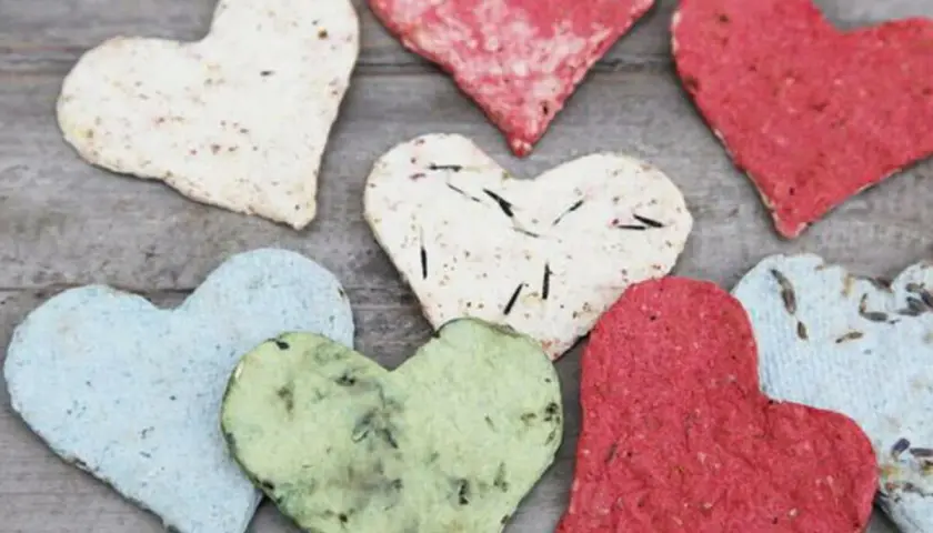 Bunte Herzen aus Samenpapier, die man leicht selber machen kann. Jedes Herz ist ein Unikat mit kleinen Samen und Blüten.