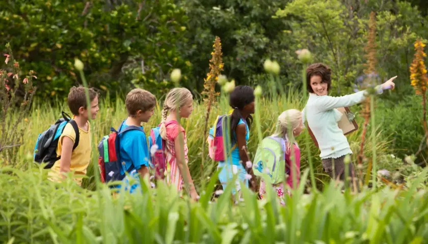 Lehrerin zeigt Kindern auf einem Wandertag in der Natur spannende Dinge. Tolle Wandertag Schule Ideen!