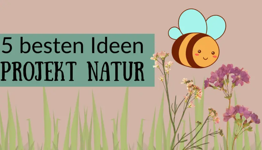 5 besten Ideen für Projektwoche Kindergarten Themen: Natur, Biene und Blumen.