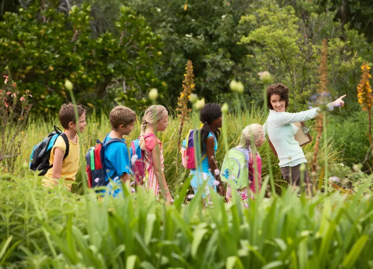 Lehrerin zeigt Kindern auf einem Wandertag in der Natur spannende Dinge. Tolle Wandertag Schule Ideen!