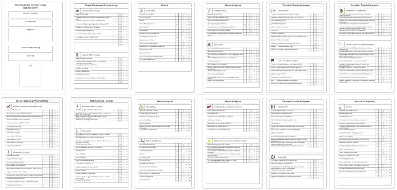 Dienstliche Beurteilung Lehrer Beispiele: Formular zur Erfassung von Sch&uuml;lerkompetenzen, von Basaler F&ouml;rderung bis Sprache.