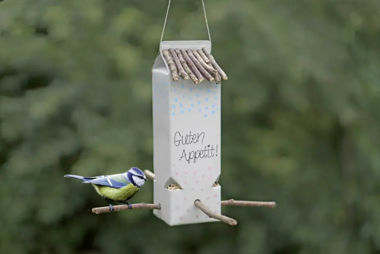 Vogelfutterstation selber bauen mit Kindern: Ein Kohlmeise pickt K&ouml;rner aus einer selbstgebastelten Futterstation aus einem Milchkarton.