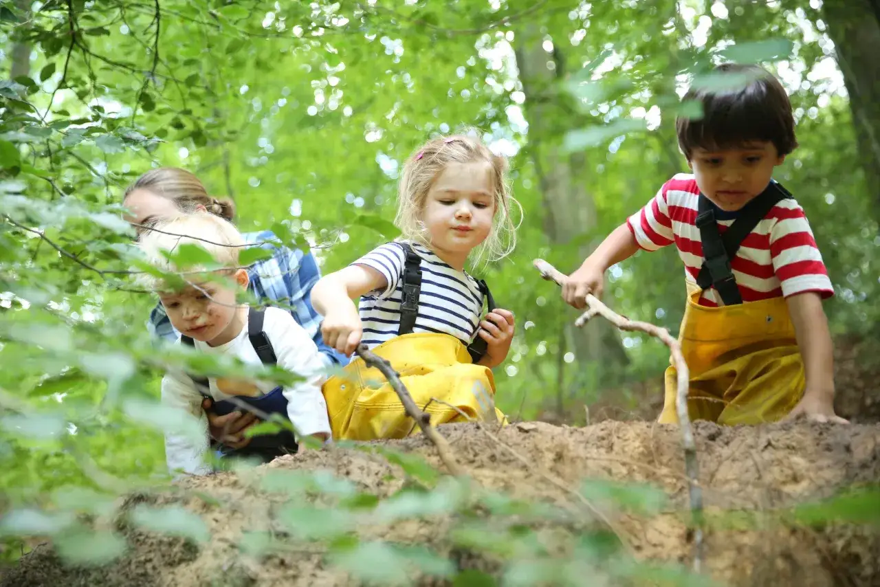 Kinder erkunden im Wald, vertieft in ihre Projekte im Kindergarten. Mit gelben Latzhosen und St&ouml;cken entdecken sie die Natur.