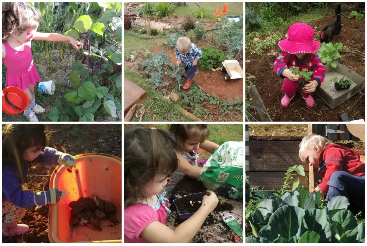 Kinder lernen spielerisch über Nachhaltigkeit im Kindergarten, indem sie pflanzen, ernten und im Garten arbeiten.