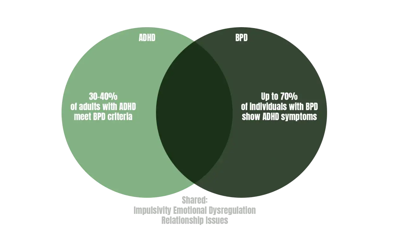 Venn-Diagramm zeigt &Uuml;berschneidungen von ADHS und Borderline (BPD). 30-40% der ADHS-Betroffenen erf&uuml;llen BPD-Kriterien. Bis zu 70% mit BPD zeigen ADHS-Symptome. Gemeinsam: Impulsivit&auml;t, emotionale Dysregulation, Beziehungsprobleme.