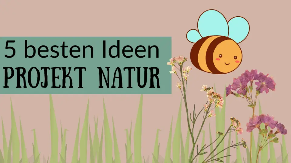 Projektwoche Kindergarten Themen - Die besten Ideen & Tipps